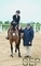 Madison Heath takes the Redpost Equestrian Foxhunter Second Round at Vale View